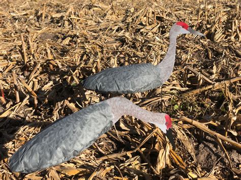 sandhill crane windsocks.